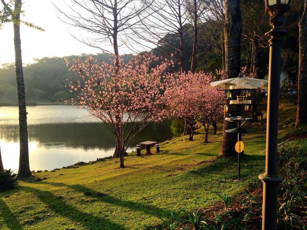 Hotel Fazenda Monte Verde Golf & Resort Vargem Alta Exterior foto